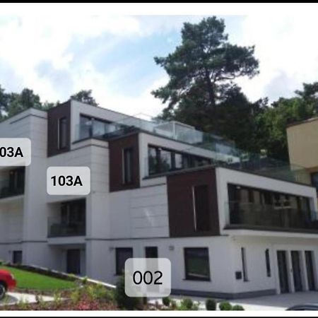 Baltic Plaza Przy Plazy Apartment Krynica Morska Exterior photo
